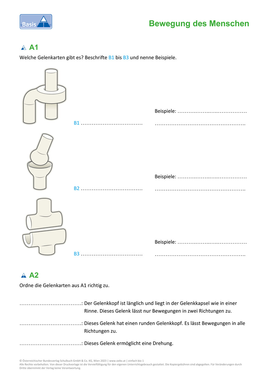 Gelenke Arbeitsblatt | öbv