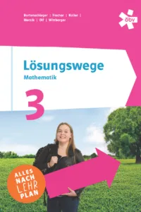 Lösungswege 3