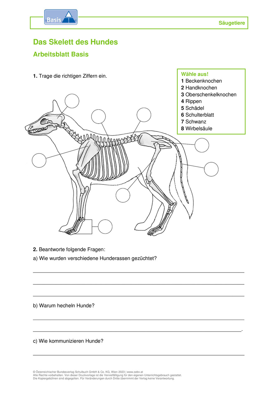 Hund Arbeitsblatt | öbv